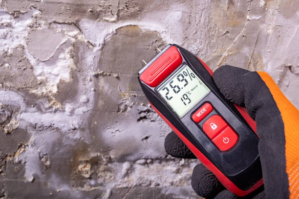 Best Professional Mold Removal  in Belmont, PA