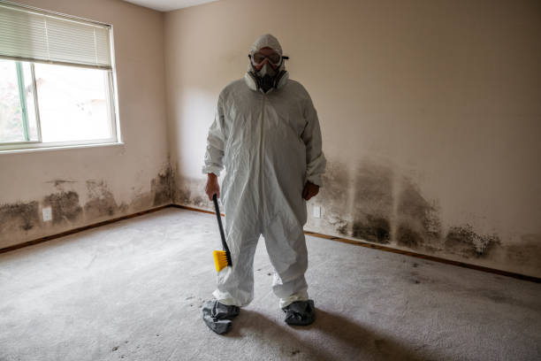 Best Mold Testing  in Belmont, PA